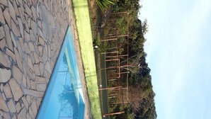 Une piscine bordée de pierres, entourée d’une pelouse et d’arbres.