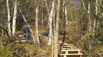 Terrein van de accommodatie