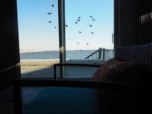 Una habitación con vista al mar y aves volando.