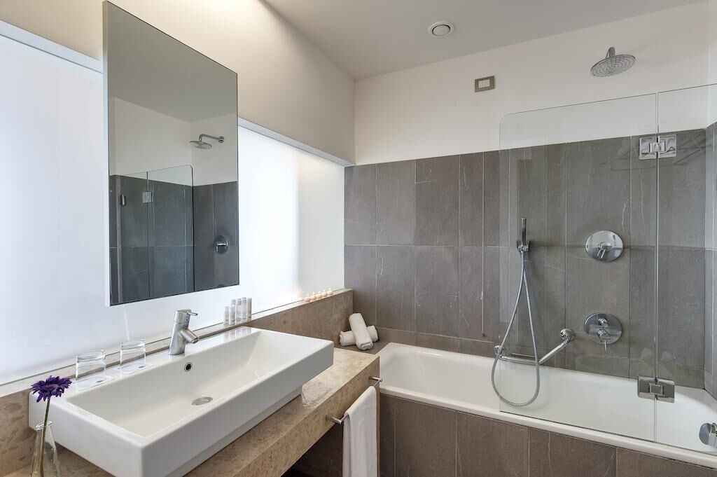 combined shower/bathtub, free toiletries, hair dryer, bidet