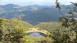 Alberca