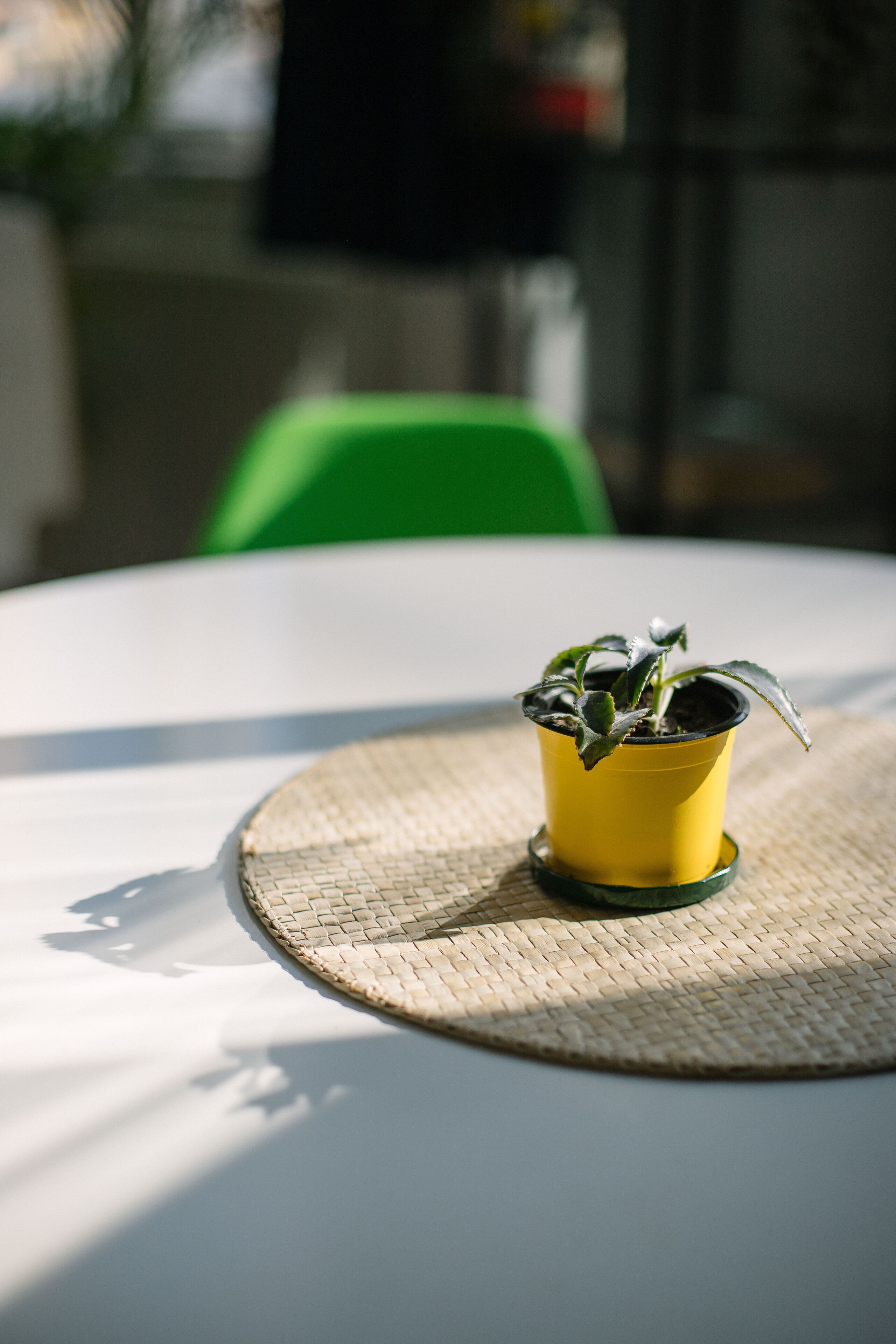 Foto - 2B Hostel & Rooms