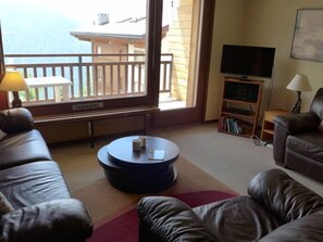 Televisión y reproductor de DVD 