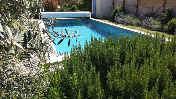Una piscina rodeada de exuberante vegetación y un edificio con tejado de baldosas.