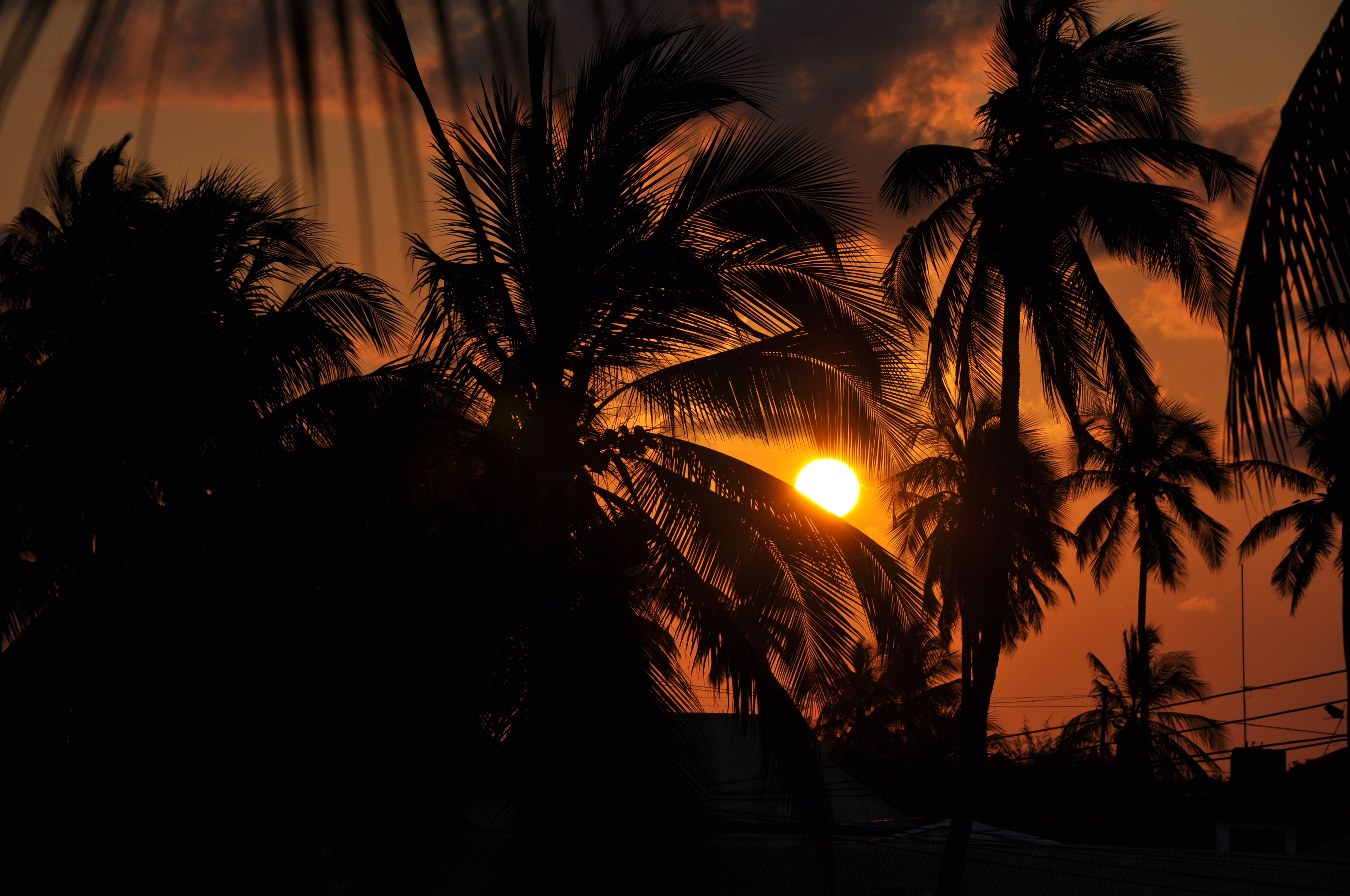 Photo - Villa Huruma