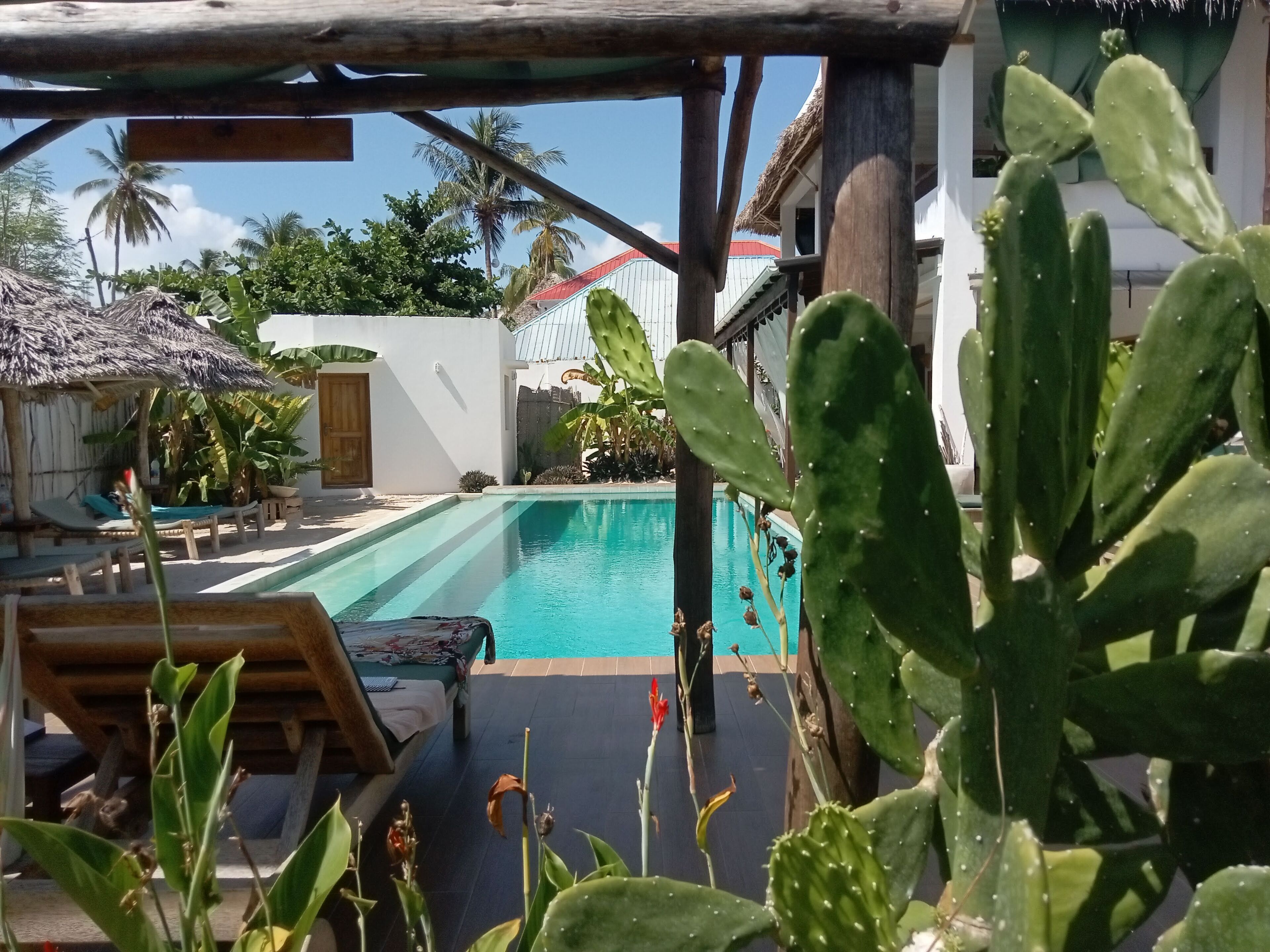 A pool area with a wooden deck, lounge chairs, and a thatched umbrella.