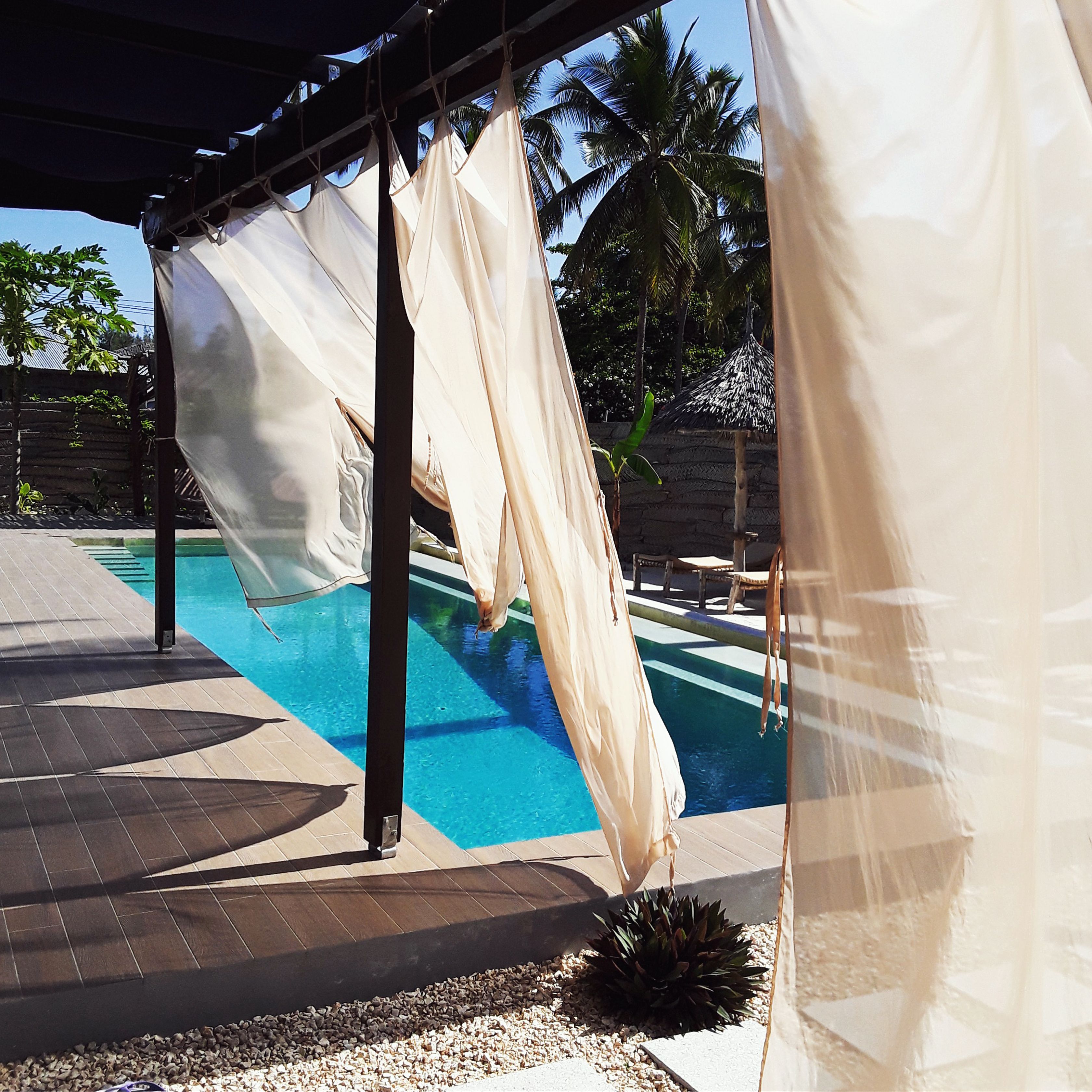 A pool area with a pergola structure, a clear blue pool, and a tropical setting with palm trees.