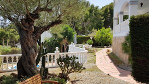 A garden with a white fence, a pathway, and various plants including cacti. - Beautiful villa, swimming pool, tennis court, basketball court, garden, sea view, near beaches (El Vendrell)