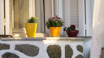 Detalle exterior