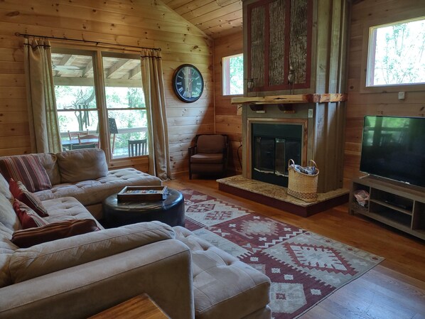 Smart TV, fireplace, DVD player, books