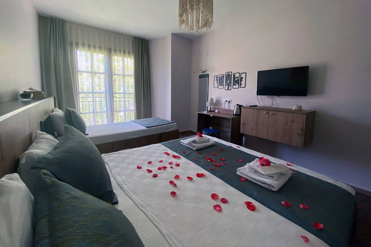 A hotel room with a bed, a desk, a TV, and a window with curtains.