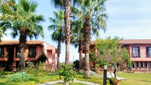 A courtyard with palm trees, a hammock, and a pathway leading to a building with a tiled roof. - Hotel Palme Dalyan (Ortaca)