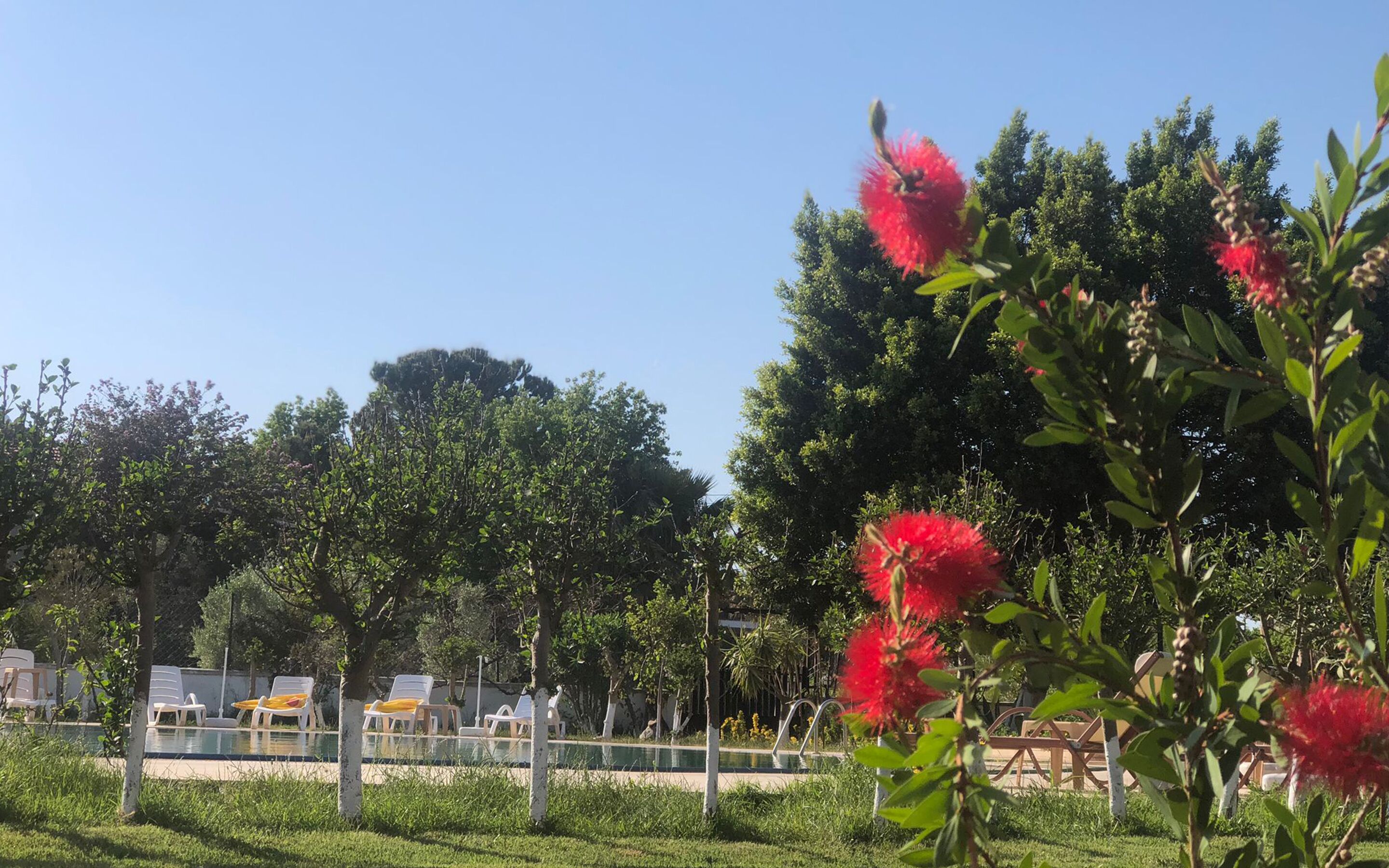 Zona de piscina con sillones de descanso y cielo despejado.