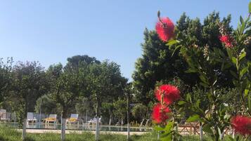 Zona de piscina con sillones de descanso y cielo despejado.
