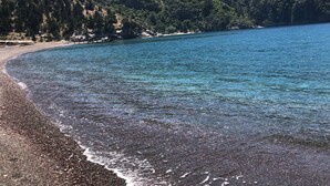 A beach with clear blue water, pebbly shore, and a forested hillside in the background. - Hotel Palme Dalyan (Ortaca)
