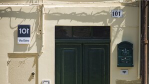 A building facade with a green double door, a mailbox, and a number sign '101'.