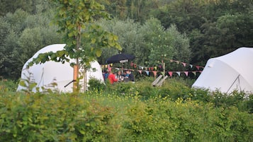 Un camping con tiendas blancas, rodeado de vegetación y un árbol en primer plano.