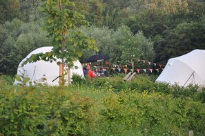 A campsite with white tents, surrounded by greenery and a tree in the foreground. - Ecochique (Heuvelland)