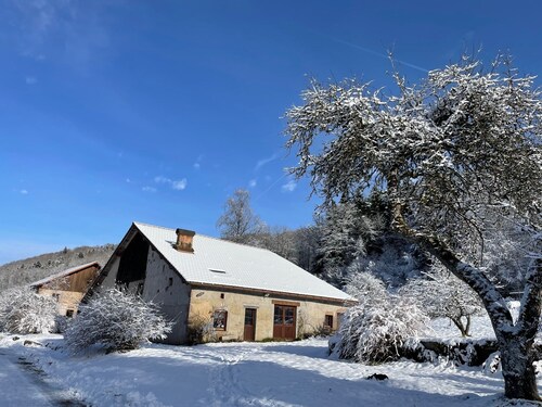 The Hut, in the middle of the woods, not far from the waterfalls