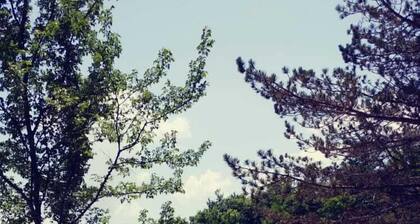 Lovely countryside Apartment Dolac - Valley, Vrlika in Croatia