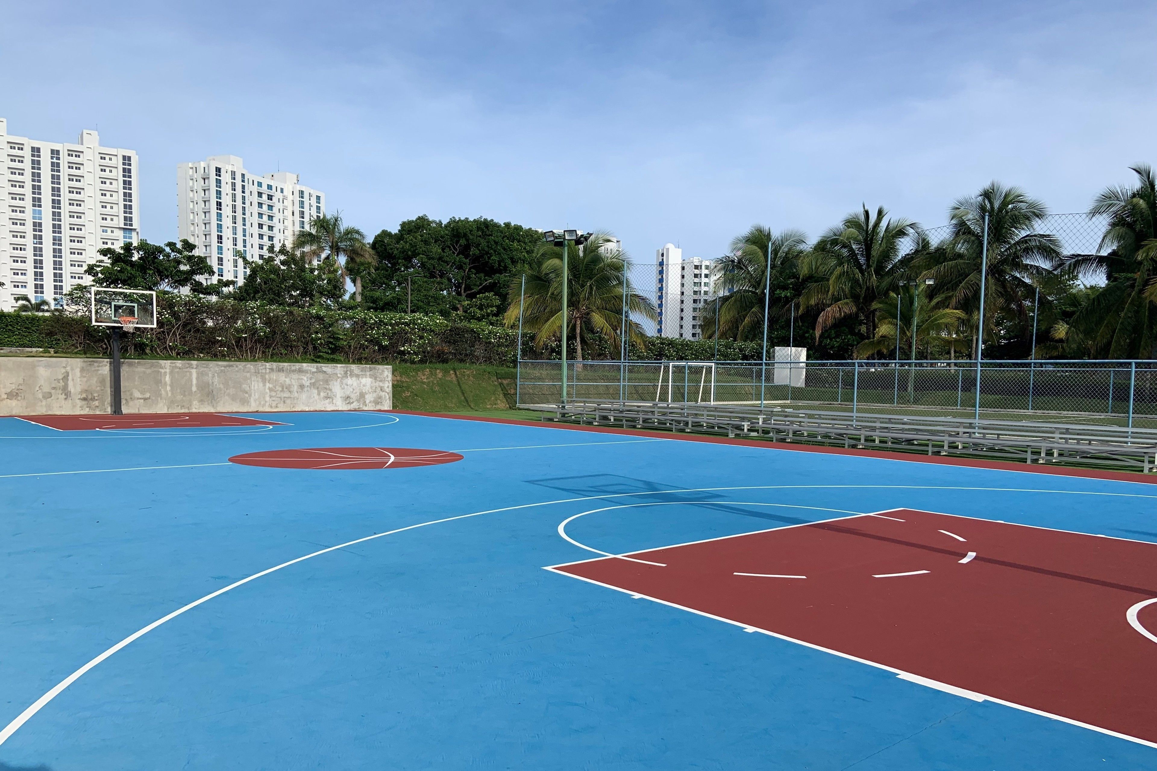 An outdoor basketball court with blue and red markings, surrounded by a fence and palm trees.