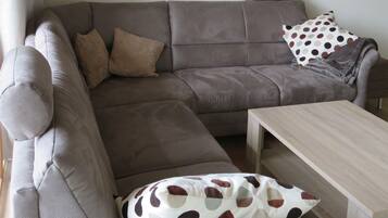 Tv, dvd-spelare och ett musikbibliotek