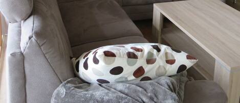 Télévision, lecteur de DVD, médiathèque