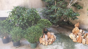 Camera doppia | Terrazza/patio