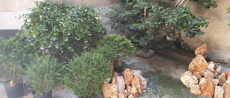 雙人房 | 露台/庭院
