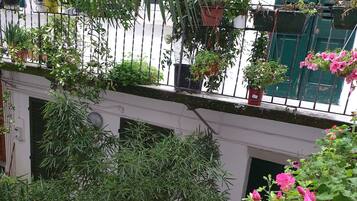 Vierbettzimmer | Terrasse/Patio