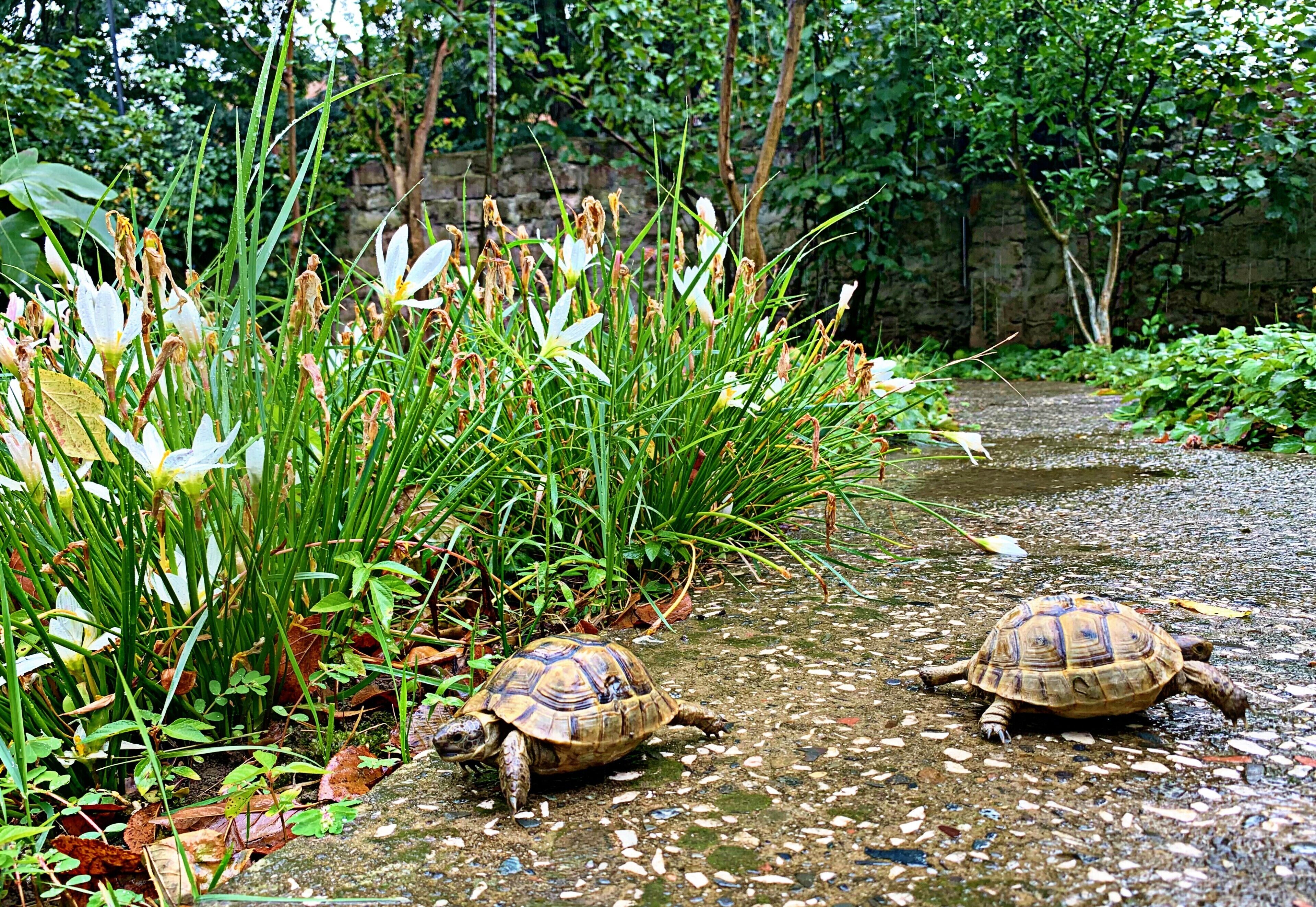 Foto - Old City Hotel