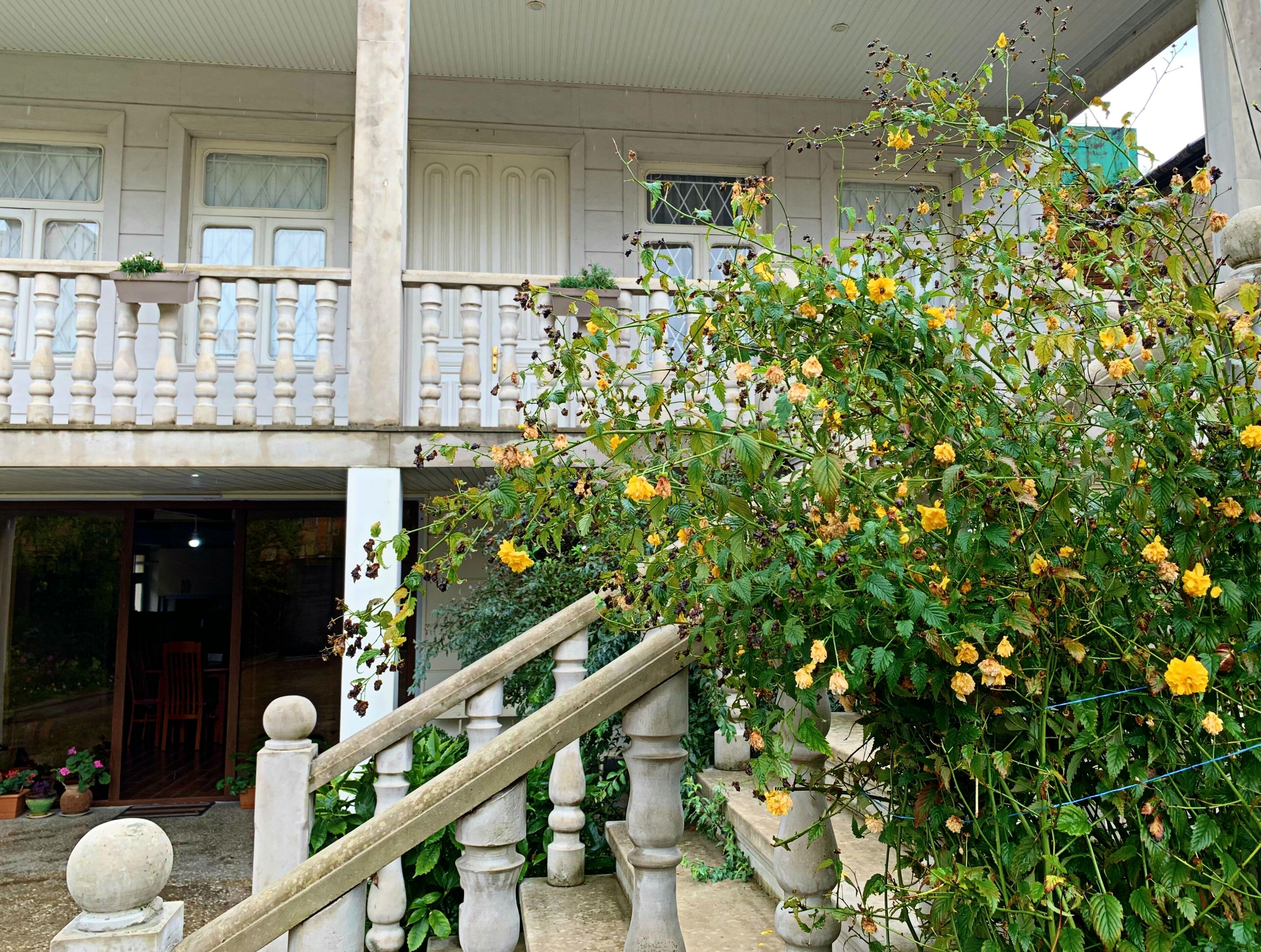 Foto - Old City Hotel