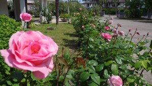 Garden - Ca' D'Artisti Bed & Breakfast (Caorle)