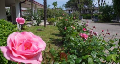 Ca' D'Artisti Bed & Breakfast