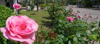 Ca' D'Artisti Bed & Breakfast