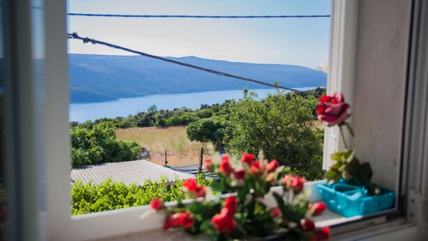 A window view of a lake with mountains in the distance, a power line, and a potted plant with red flowers on the windowsill. - Apartment Marija (Cres)