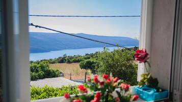 Departamento básico, vista al lago | Vista del balcón