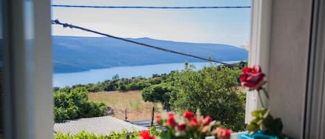 Appartement, vue lac | Vue depuis le balcon