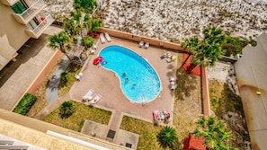 Relax by the kidney-shaped pool surrounded by lounge chairs and sunbeds, amidst lush greenery and palm trees.