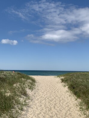 Plage à proximité, chaises longues, serviettes de plage