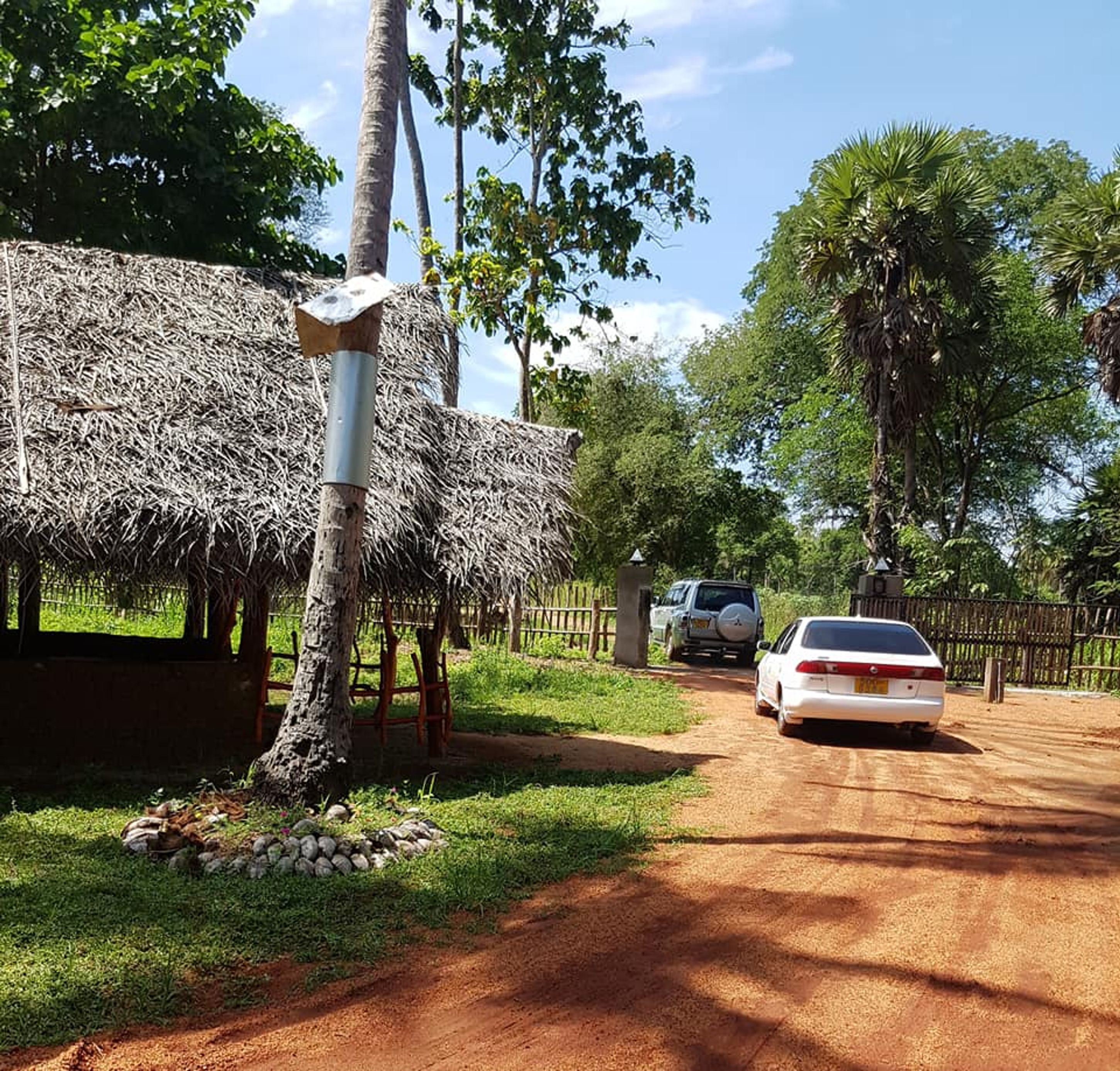 A rural road with a thatched-roof hut, a tree, and a parked car.