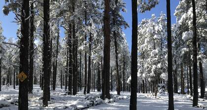 The Loft @ Wrigley Ranch-Horseback Rides-Hike-Shooting / 4wd Tours-FirePit-GasBBQ-