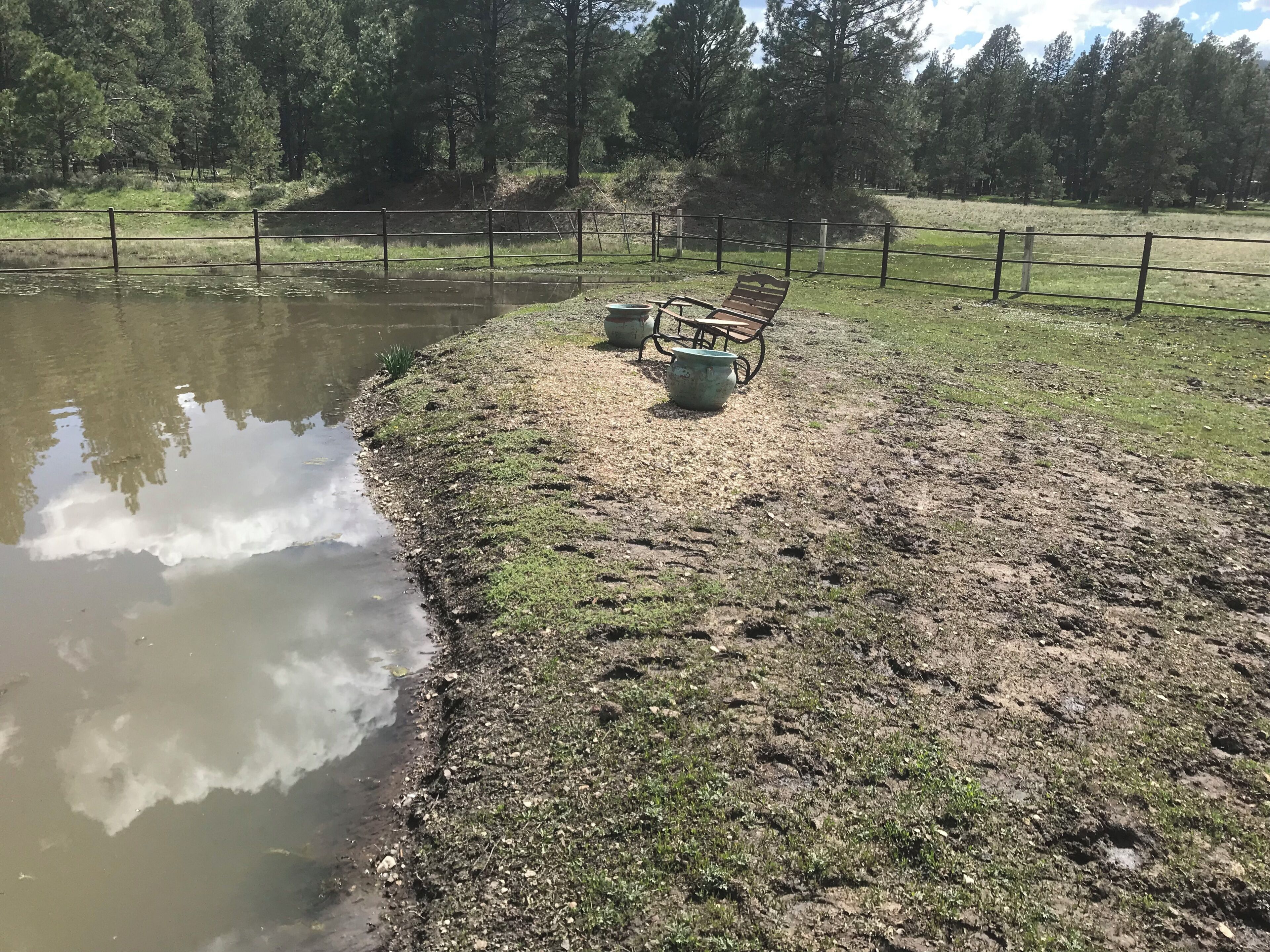 Une zone au bord de la rivière, avec un banc, une poubelle et une clôture.