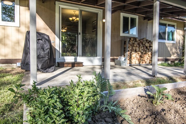 Back covered patio with propane gas grill and firewood for inside wood stove.
