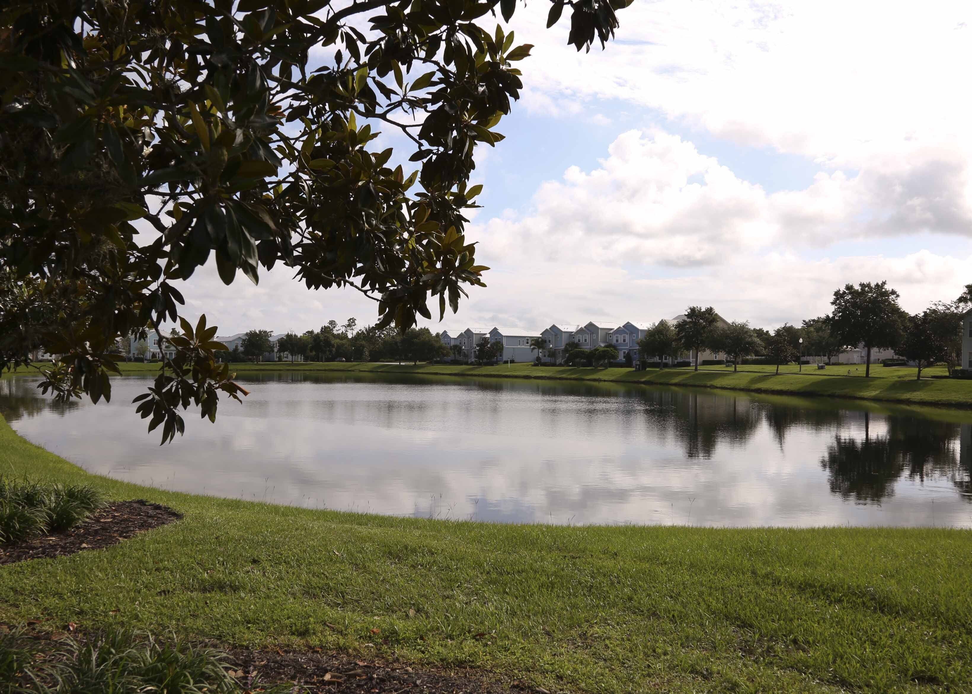 A tranquil lakeside view with a grassy area, a pond, and a row of houses in the background.