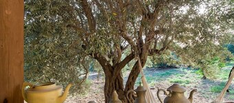 ëŤhņi Gālilée Unique Guest Suite près de la mer de Galilée