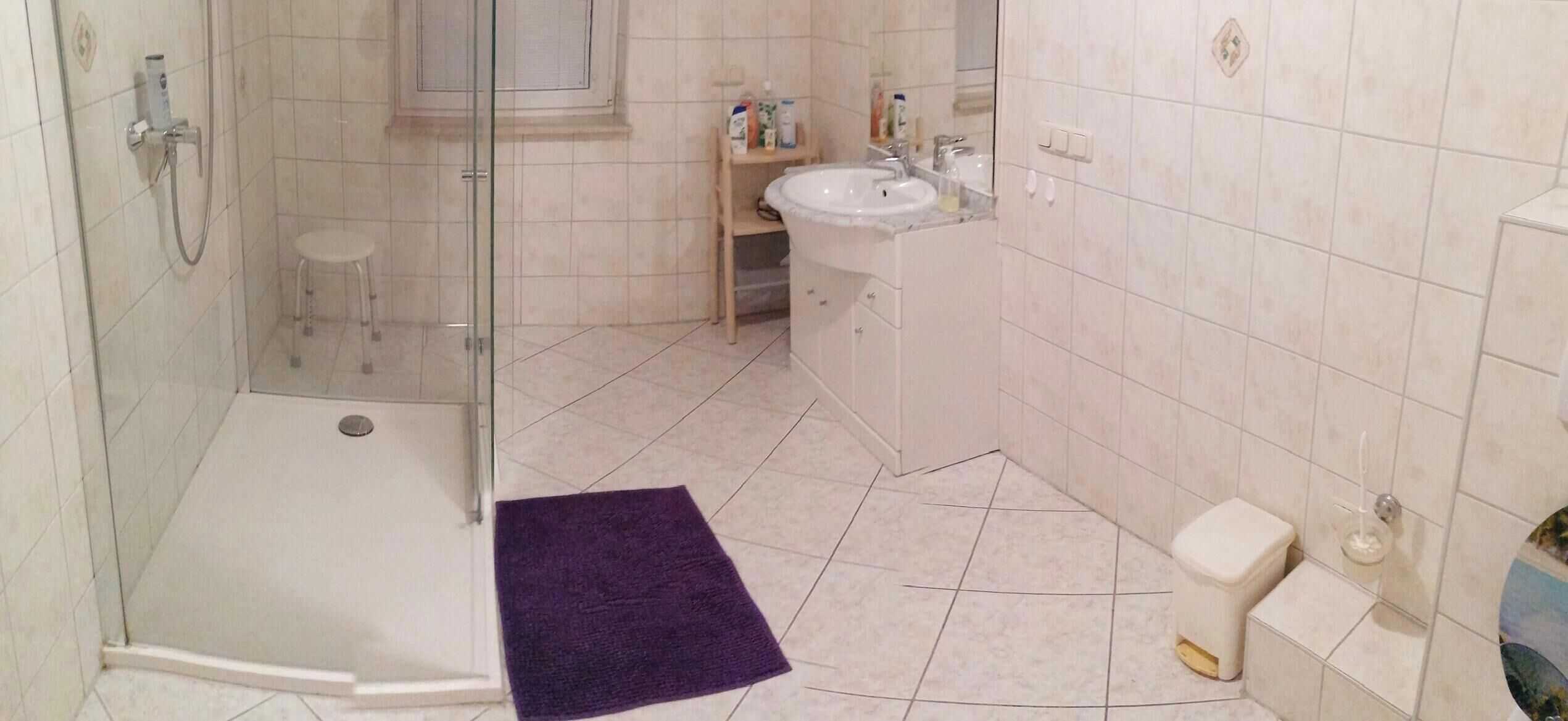 風筒、提供毛巾、廁紙