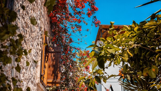 Exterior detail - Tas Mori Butik Otel (Bodrum)
