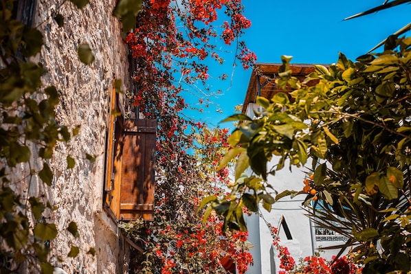 Exterior detail - Tas Mori Butik Otel (Bodrum)