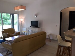 TV connectée, cheminée, lecteur de DVD, table de tennis de table